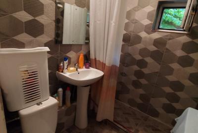 APARTAMENT 2 CAMERE-RAHOVA-MISCA PETRE-SEMIDECOMANDAT-ETAJ 1/8 - 12