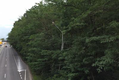 REL4000144 Teren DN1 - Padurea Petresti - 2