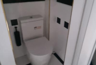 Spatiu comercial Dinicu Golescu - Stirbei Voda - 18