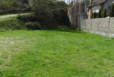 Inchiriez teren in Bran la DN73 langa PANNER, investitie - 5