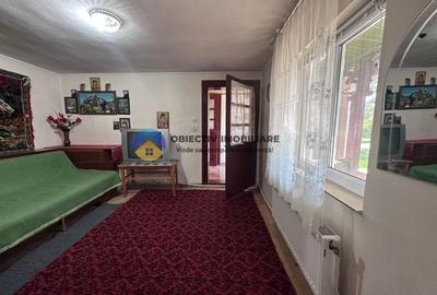 Casa tradițională de vânzare - Alexandru cel Bun - 15