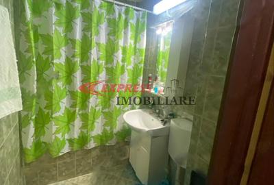 Titan, 1 Decembrie 1918, Auchan Titan - 4