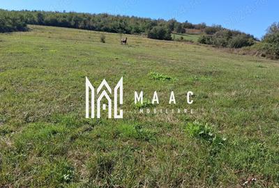 Teren | 3.600 mp | Ariușd | Lângă Olt | 25 km de Brașov - 1