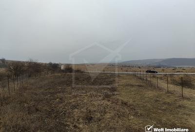 Teren intravilan în Chinteni – investiție (Necesita PUZ) - 5