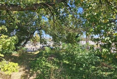 TEREN INTRAVILAN DE VANZARE ONESTI - 1