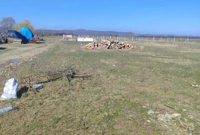 Teren Intravilan comuna Osorhei Bihor. - 7