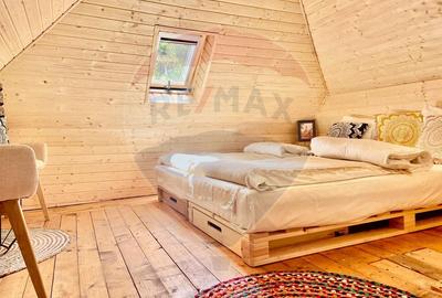 Casă de vacanță deosebită cu ciubăr si saună - natura si relaxare - 54