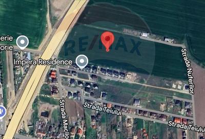 Teren 14.863mp, deschidere 42mp, acces 3 laturi - Ciorogarla, langa A0 - 1