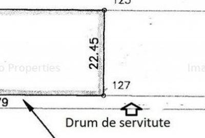 Teren Voluntari Padurea Baneasa - 2