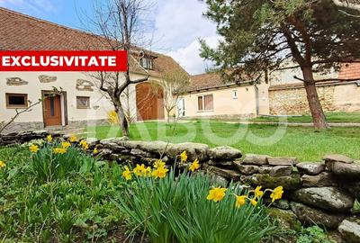 Casa saseasca de vanzare in Calnic ideala pentru locuinta sau pensiune - 1
