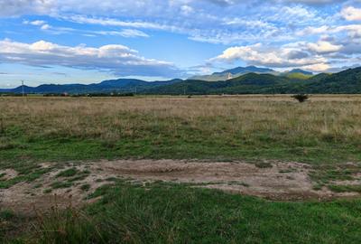 Teren rezidential RASNOV - Glajerie - 3