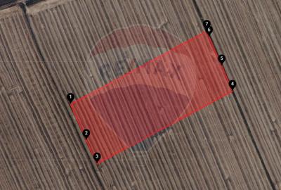 Teren extravilan 46,300mp Curtici - 4