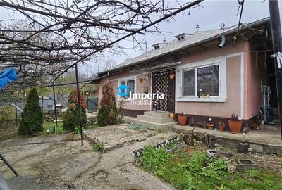 Casa plan parter cu 2700 mp teren in Iasi zona Bucium Hill Center - 3
