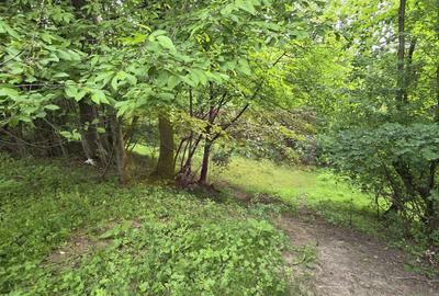 Teren de vanzare in Breaza, Nistoresti - 8