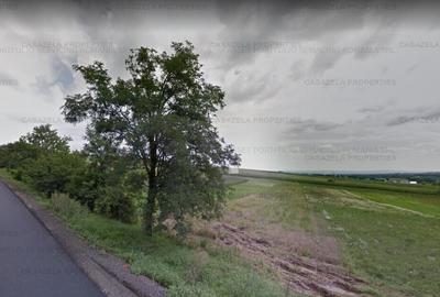 Teren agricol extravilan de 1800 mp, în Răucești
