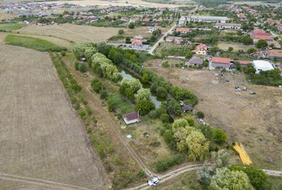 Teren de 7900 mp cu baltă de pescuit în Frumușeni - 6