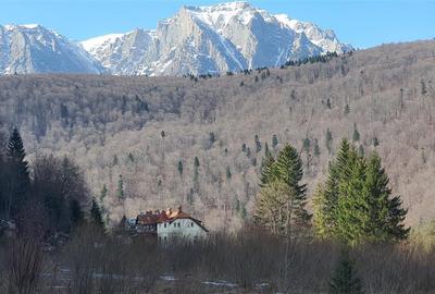 De vanzare teren intravilan AZUGA - 17