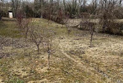 Oportunitate de investitie || teren de vanzare || 933 mp Prahova || - 7