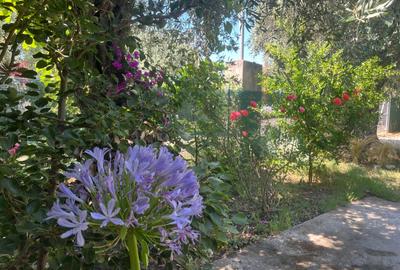 Randament 9.5% Afacere la cheie / Casa de vacanta Thasos Grecia la 50m de plaja - 12