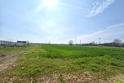 Teren intravilan | Dragomiresti Vale | Sat Zurbaua IF | INVESTITIE - 7