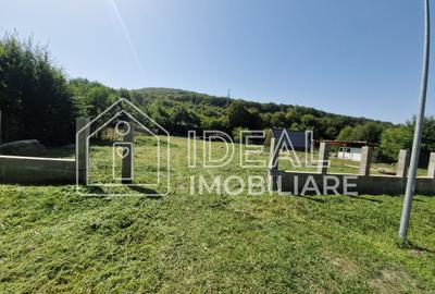 Teren extravilan 2.300 mp – Cârțișoara, județul Sibiu - 2
