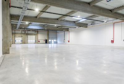 4646 mp - Hala industriala de inchiriat in Parc Industrial Arad - 5