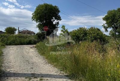 Teren intravilan  ,1020 mp, Sibiu, Daia Noua - 8