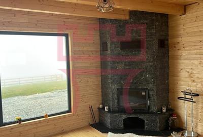 Cabana Belis in apropierea asfaltului cu panorama superba asupra Belis - 4