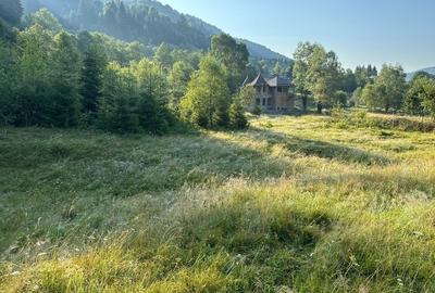 Rucar-Satic, teren intravilan de vanzare, lotur intre 500-5000 mp, peisaj superb - 1