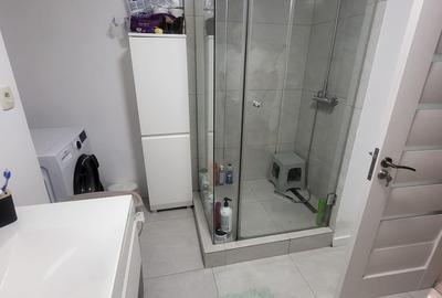 Apartament 5 camere 161 mp, zona Decebal, bloc 2006, curte, ideal investitie - 18