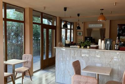 Spațiu comercial, 60 mp în Polonă