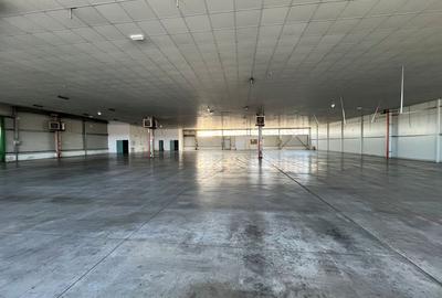 Spațiu industrial disponibil pentru închiriere în Timișoara, Calea Lugojului - 6