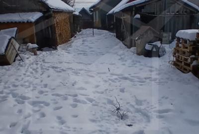 Casă individuala de vânzare cu teren mare in Gilău, jud. Cluj - 4