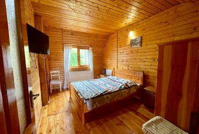 Inchiriem cabana in Calimanesti (Seaca), cu ponton la Olt, gradina - 8