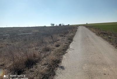 Eforie Sud ,turn TV, teren intravilan 1005 mp - 5