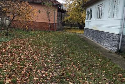 Vand casa la tara in judetul Hunedoara Comuna Pui - 6
