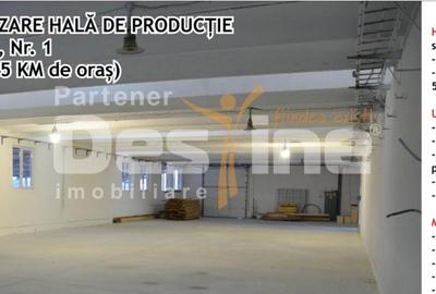 Hala productie, zona Industriala, Vaslui - 4