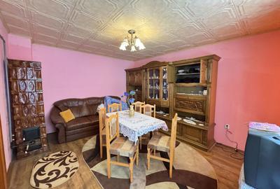 Casa in Lugoj pe Str. Fagetului - 7