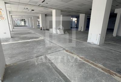 Spatiu comercial // Intre Lacuri - 5