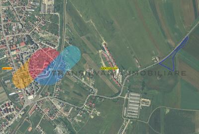 Teren Construcții intravilan de 13780 mp, în Apahida