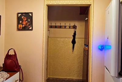 Apartament 2 camere, zona Adridan- Darmanesti - 11