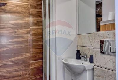 Apartament 2 camere Aviatiei - Metrou Aurel Vlaicu - 13