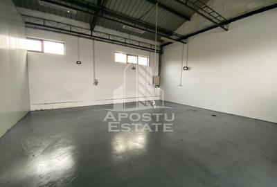 Hala de inchiriat Timisoara - Dambovita, depozitare, service auto - 1