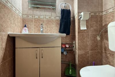 Apartament spatios, 3 camere, mobilat si utilat - Torontalului - 7
