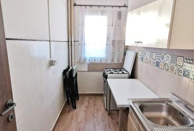 Dristor/Park Lake/Parc IOR/6 Minute Metrou/ - 8