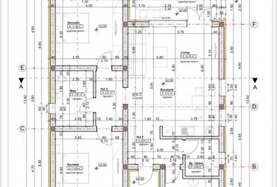 Casa individuala cu 3 camere si 656 mp teren, de vanzare in Sanmihaiu Roman - 2