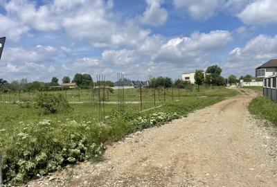 Domnești, Str Teiului, teren 1500mp, 40ml deschidere, utilități. - 6