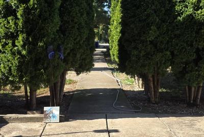 Casă individuală cu 8 camere în Ciolpani