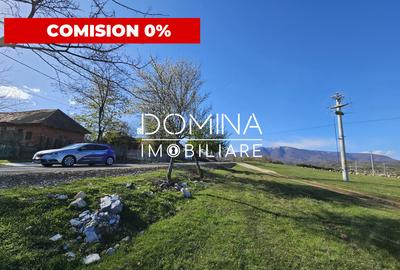 Vanzare teren 4606 mp - Sat Balta - Runcu - la aproximativ 20 km de Targu Jiu - 1