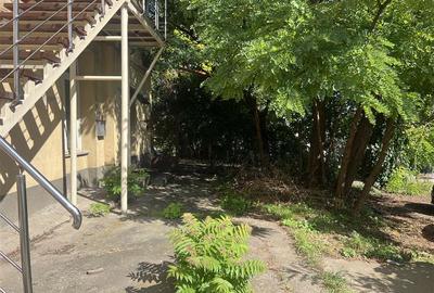 Apartament cu 3 camere  de vanzare  Tg Cucu - Podul de Fier, - 18